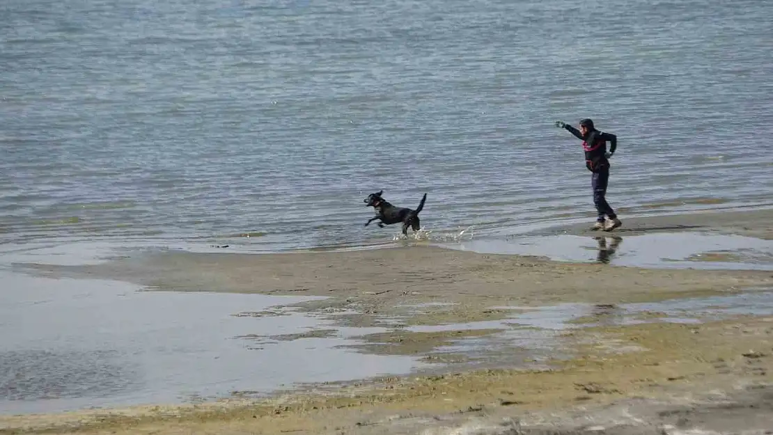 Van'da kayıp Rojin için AFAD'dan köpekli arama