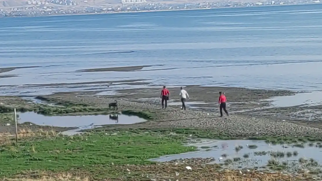 Van'da Kaybolan Rojin İçin Jandarma Sualtı Kadavra Arama Köpeği Görev Yaptı