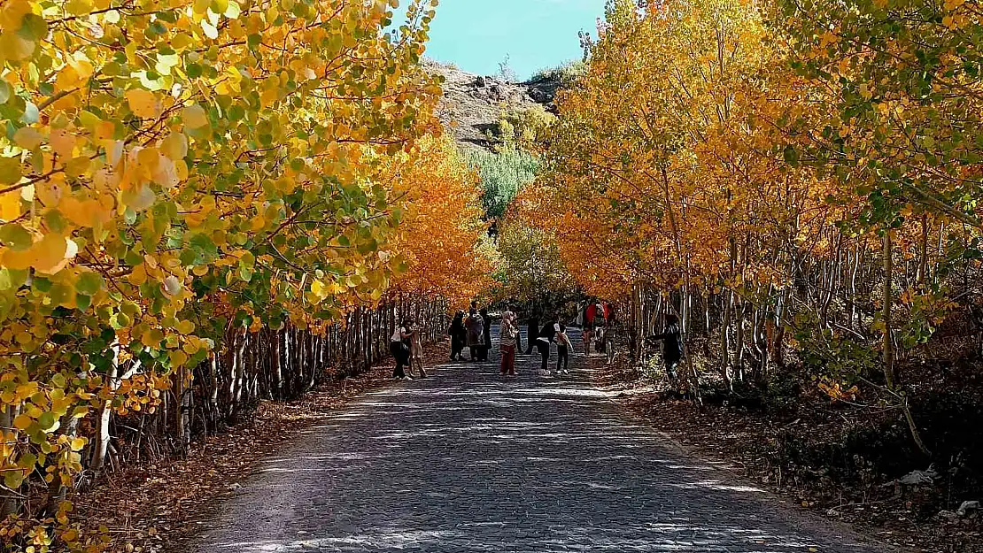 Nemrut Kalderası'nın sonbahar güzelliği büyülüyor