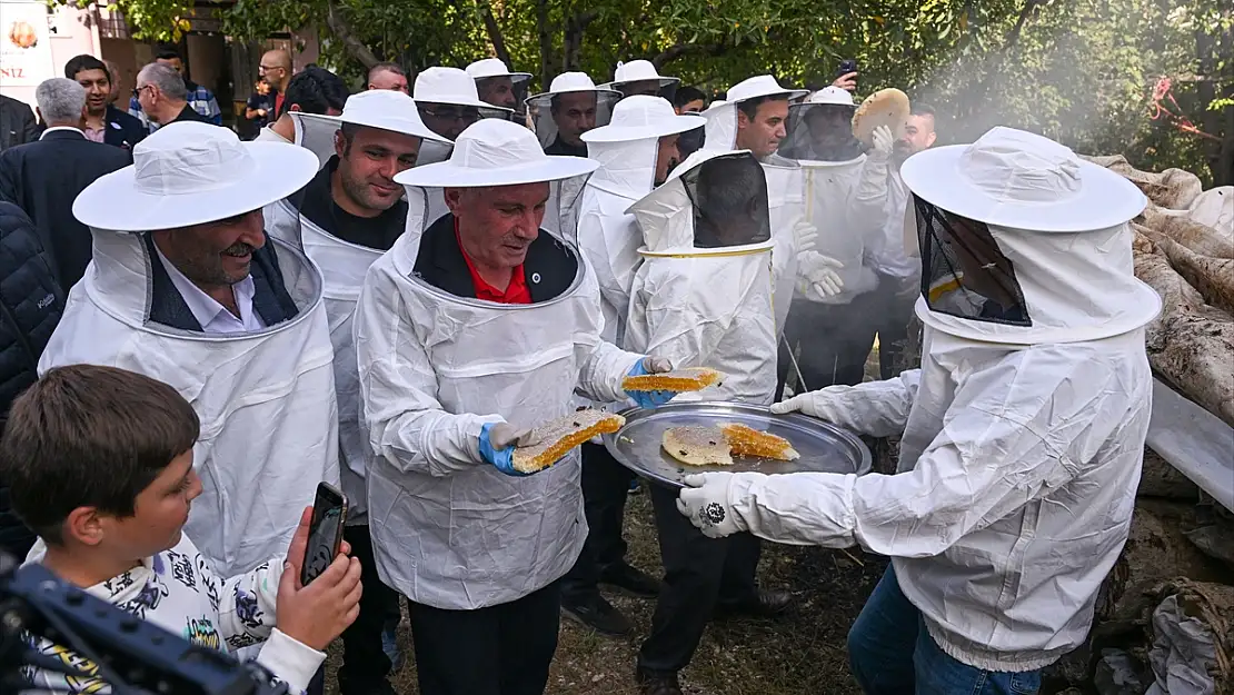 Van'da bal şenliği: Önce halay, sonra hasat