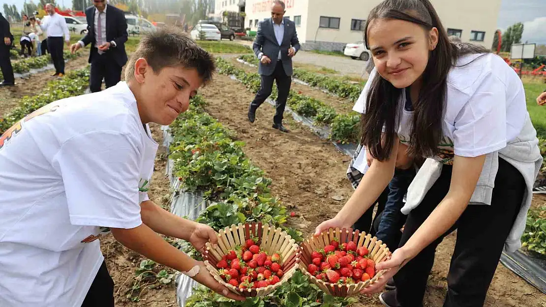 Ağrı'da öğrenciler hasat yaptı