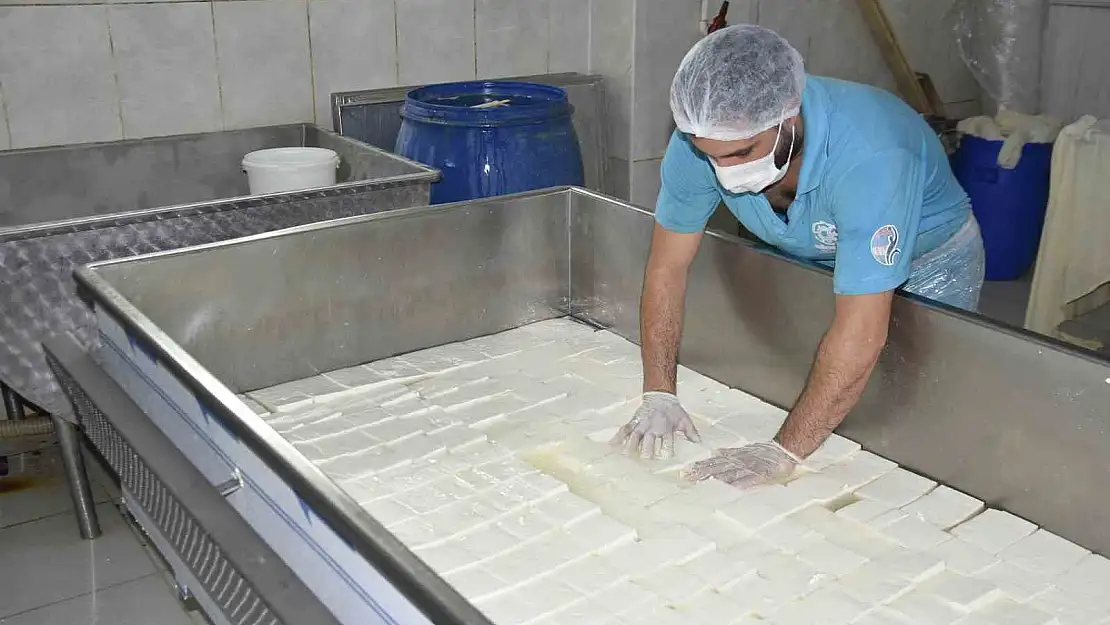 Bitlis'te devlet desteğiyle kurduğu fabrikada süt ürünleri üretiyor