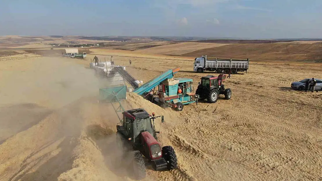 Diyarbakır'da günlük 3 bin liraya saman presliyorlar