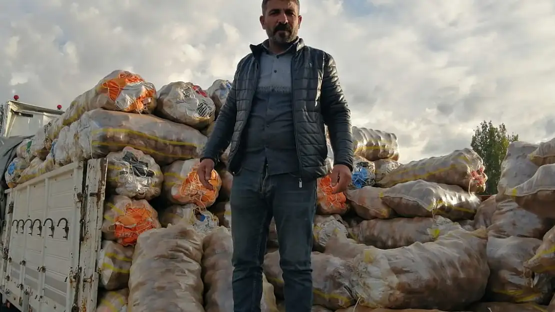 Ağrı'da Ahlat Patatesine yoğun ilgi