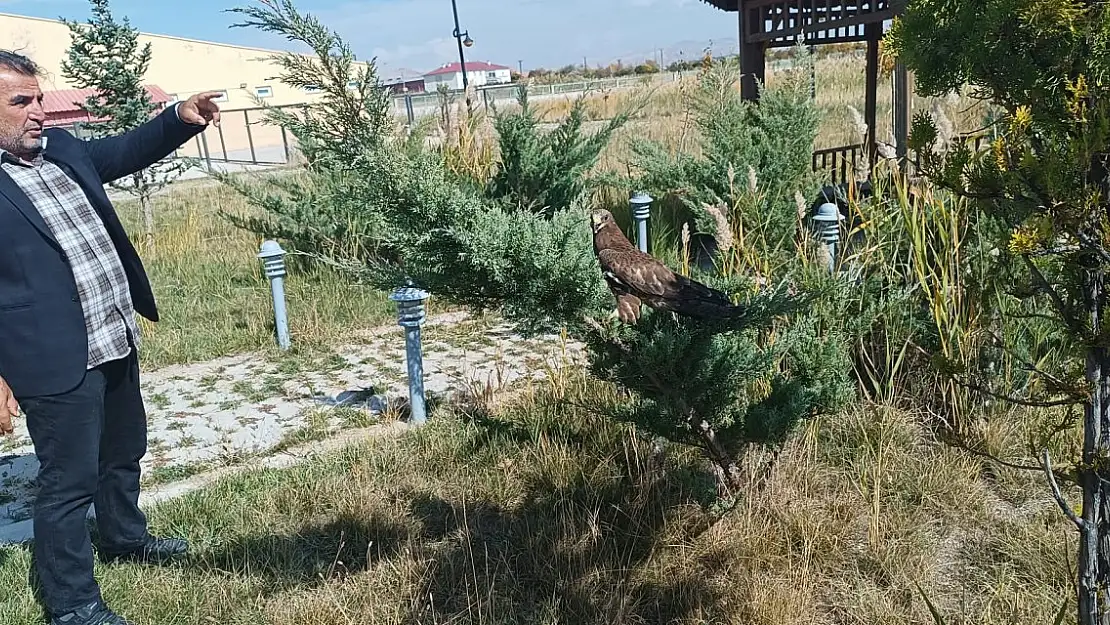 Ağrı Dağı'nda görülen Dağ Keçilerinin ardından uzmanlardan uyarı geldi