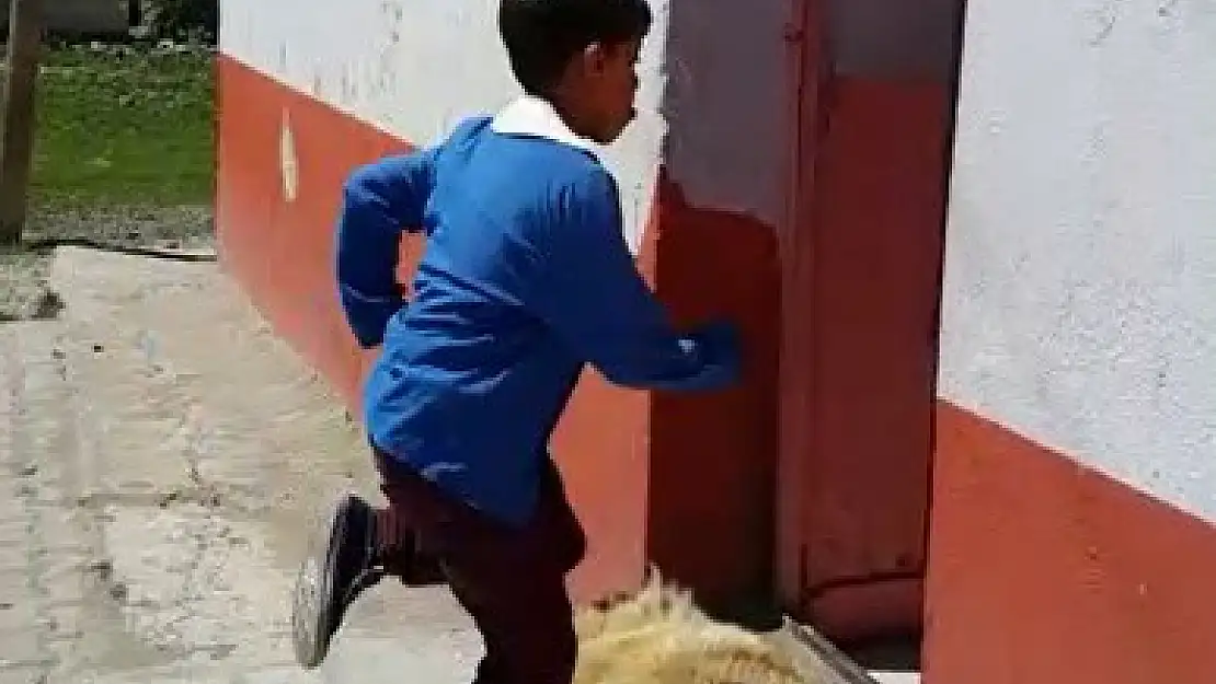 Öğrencilerin duyarlılığı