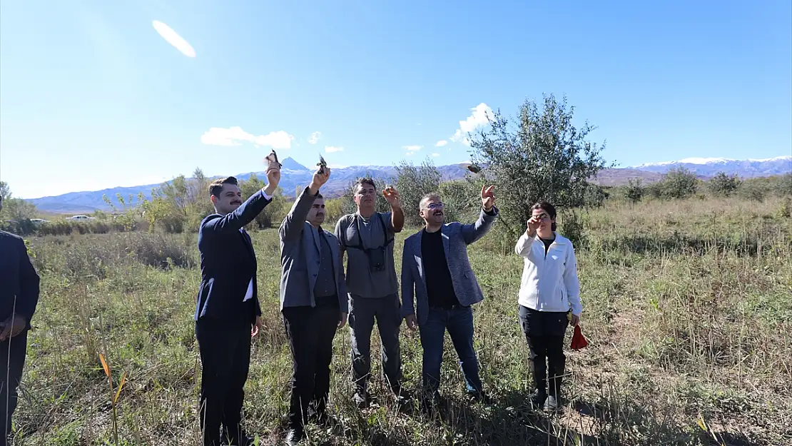 Iğdır Valisi Turan, kuş araştırma çalışmalarını inceledi