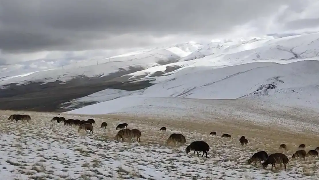 Ağrı'da çobanlar kar yağışına hazırlıksız yakalandı