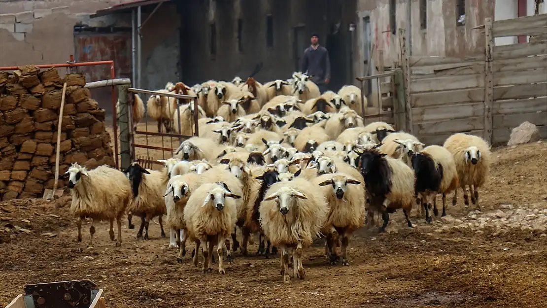 Van depreminden etkilenen besicilerin zararları karşılandı