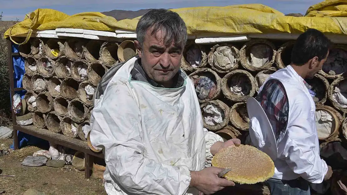 Bitlis'in ödüllü karakovan balının hasadı devam ediyor