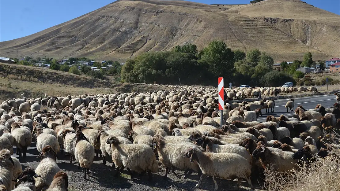 Muş'ta göçerlerin dönüş yolculuğuna başladı