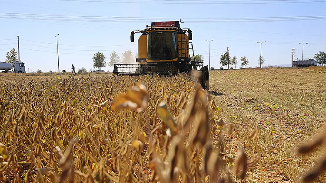 Diyarbakır'da soya ekim alanı bir yılda 9 binden 33 bin dekara yükseldi