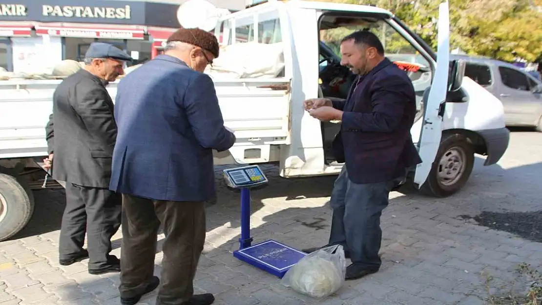 Muşlu Bir Çiftçi, Ürettiği Bal Kabaklarına Pazar Arayışında