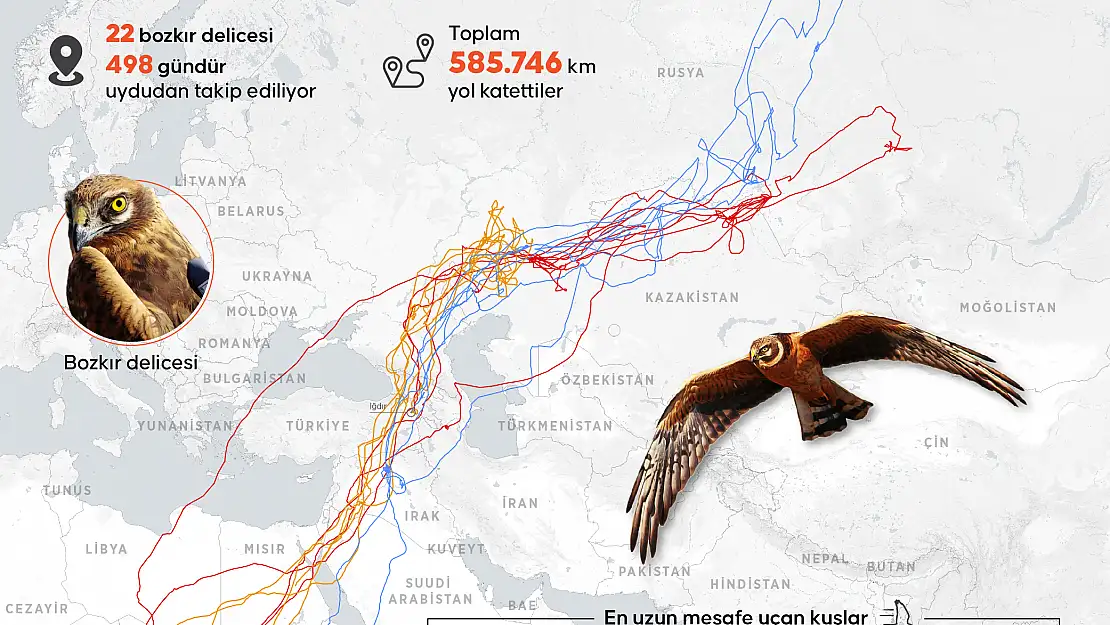 Iğdır'daki Aras Kuş Araştırma ve Eğitim Merkezi dünyada ilk sırada