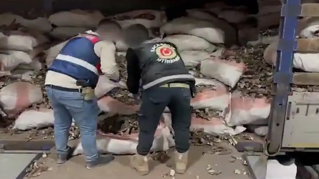 Ağrı'da 4,5 ton uyuşturucu ele geçirildi