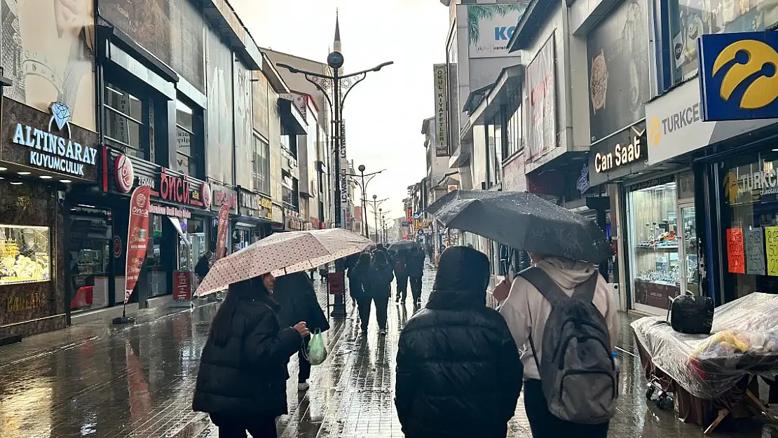 Ağrı'da Sağanak Yağış Etkili Oldu