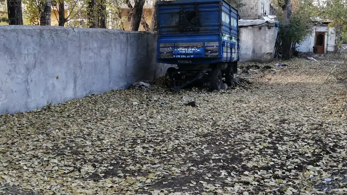 Ağrı'da Sonbahar Rüzgarı Yaprakları Yollara Serdi