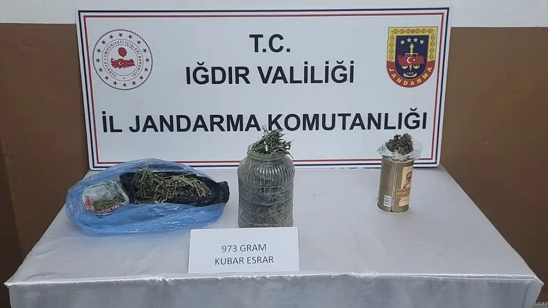 Iğdır'da uyuşturucu ticareti yapan 2 kişi yakalandı