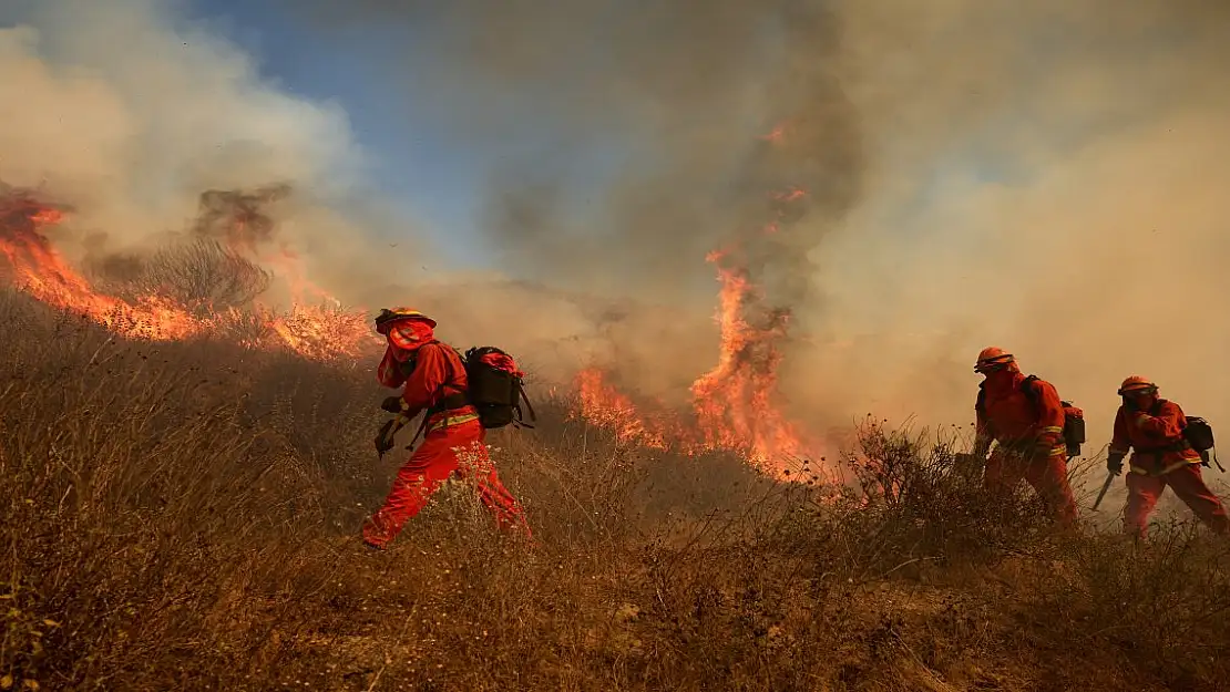 California'da 20 bin dönümlük alan orman yangınında kül oldu