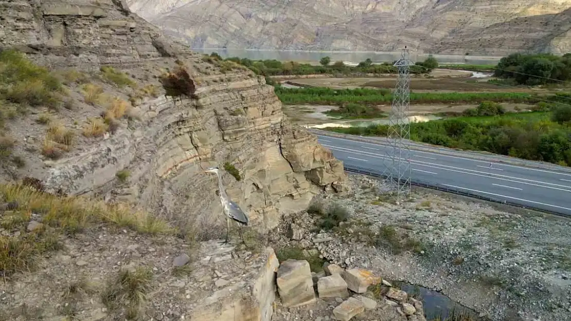 Erzurum Tortum Gölü yabani kuş türlerine ev sahipliği yapıyor