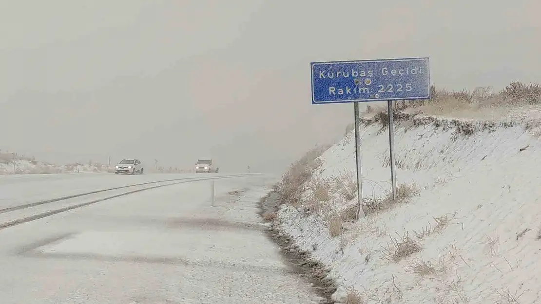 Van'da yüksek kesimlerde kar etkili oldu