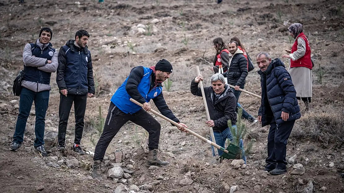 Doğu Anadolu'da fidanlar toprakla buluşturuldu