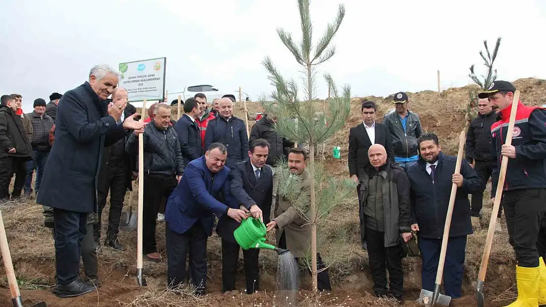 DATÜB'ten Bitlis'e 'Hatıra Ormanı'