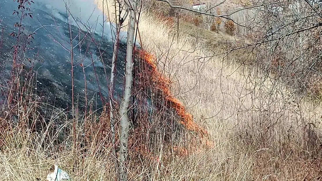 Bitlis'te Kuru Ot Yangını Telaşa Sebep Oldu