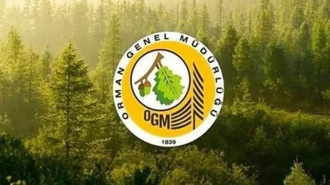 Orman Genel Müdürlüğü 9 geçici işçi alacak