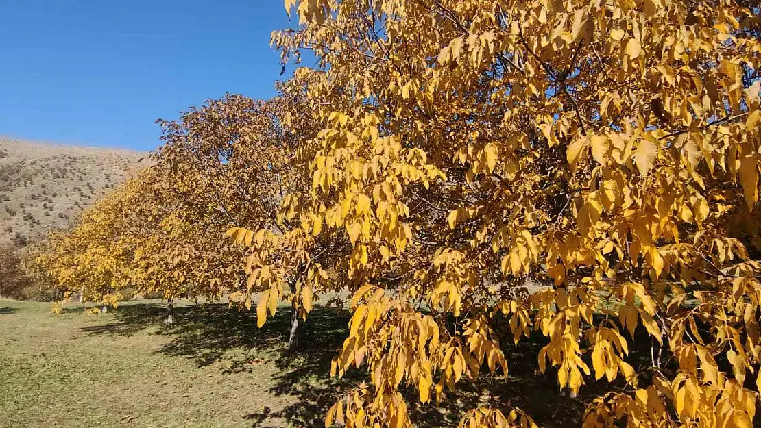 Bitlis'te sonbahar güzelliği büyülüyor