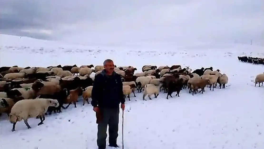Bitlis'te kar yağışı besicileri zor durumda bıraktı