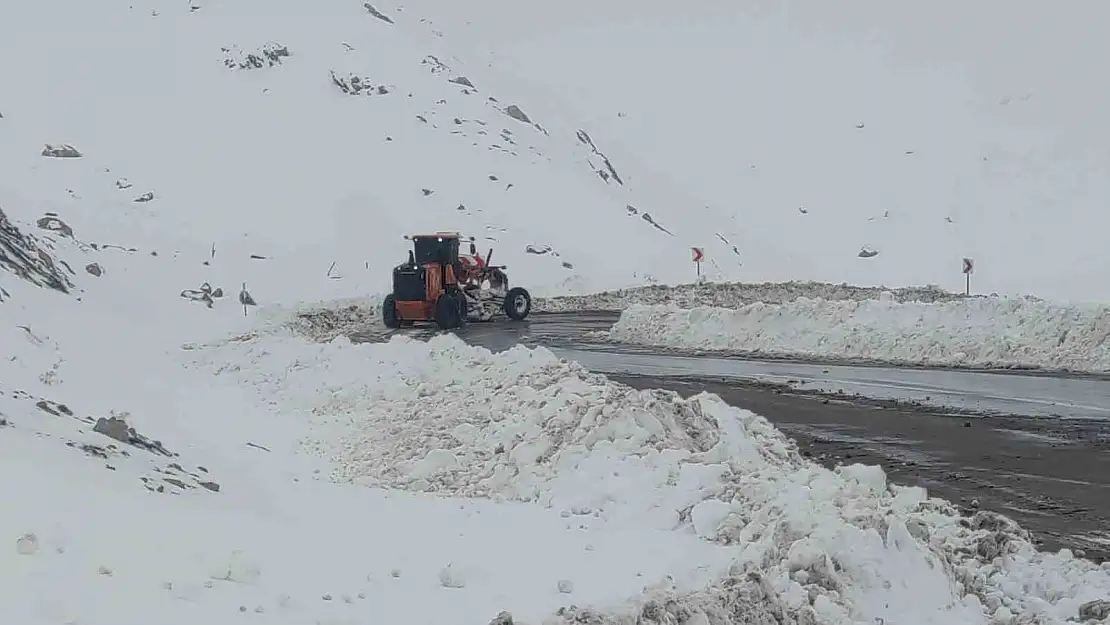 Van'ı kar kapladı