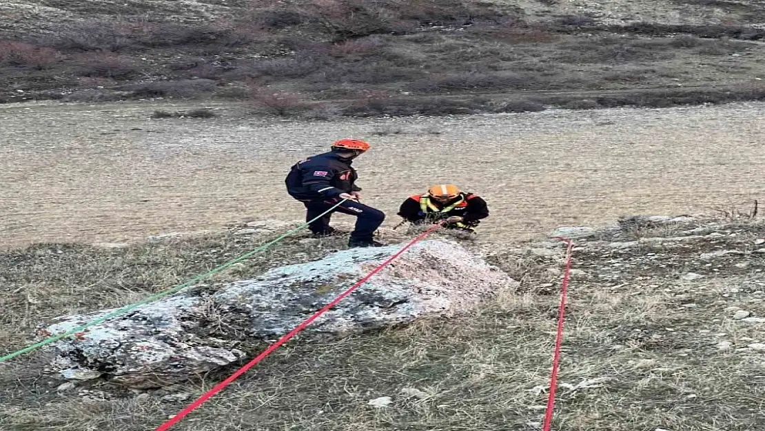 Muş'ta keçiler kayalıkta mahsur kaldı