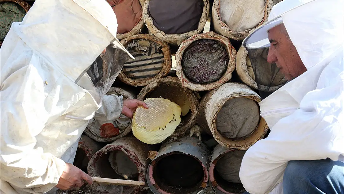 Bitlis'in karakovan balına yurt dışından ilgi