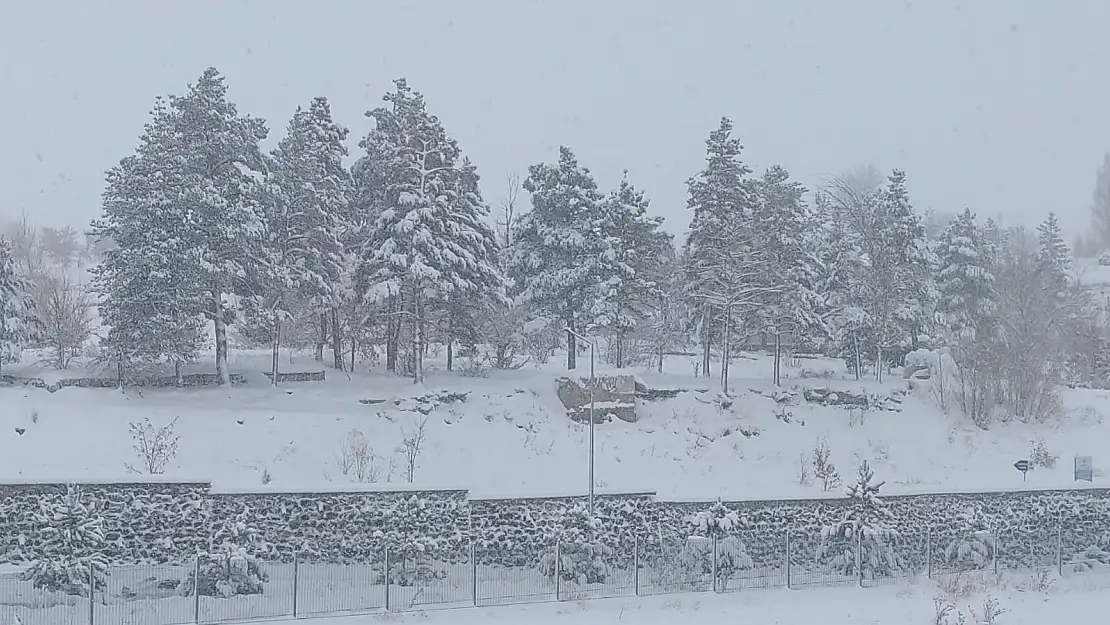 Aşkale'ye kar yağıyor