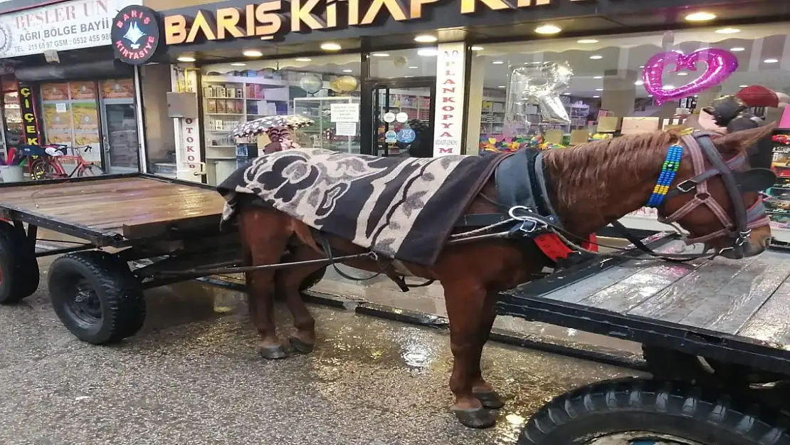 Ekmek Teknesine Battaniyeli Koruma