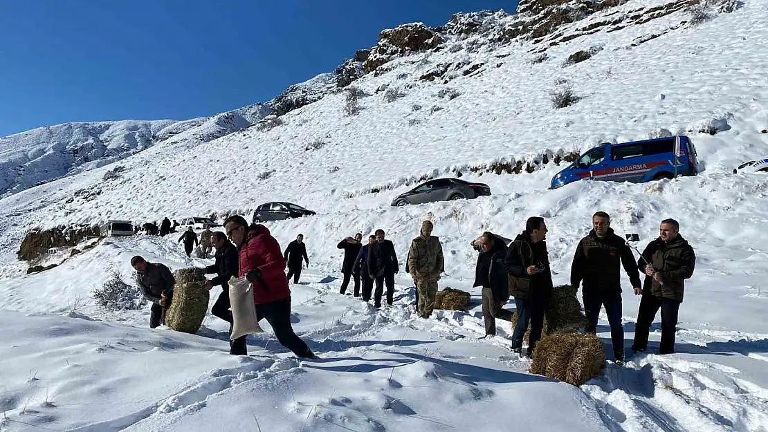 Erzurum'da yaban hayvanları için doğaya yem bıraktılar