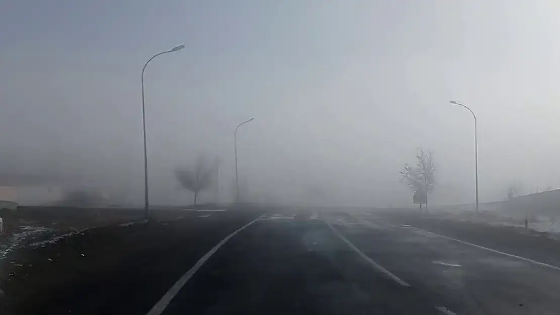 Erzurum Tekman'da Yoğun Sis