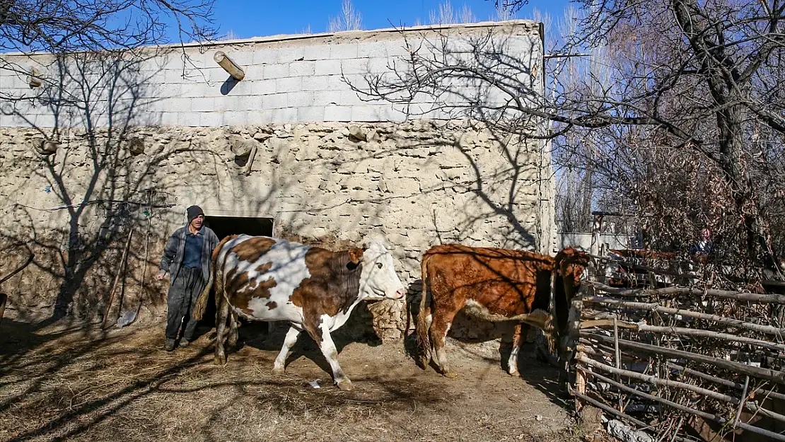 İŞKUR'un Hibe Desteğiyle Van'da 95 Engelli Kendi İşini Kurdu