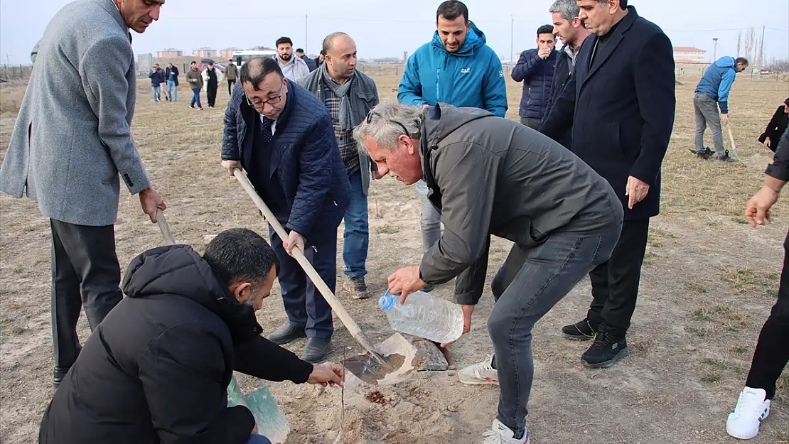 Iğdır'da Antep fıstığı üretimi başlıyor