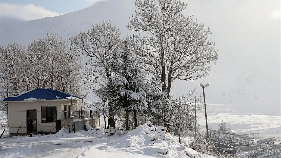 Bitlis'te kar yağışı 77 köy yolunu ulaşıma kapattı