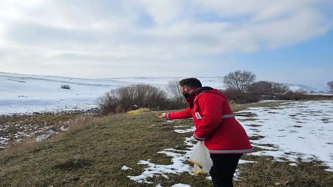 Ağrı Kızılay'dan Kuşlara Şefkat Eli