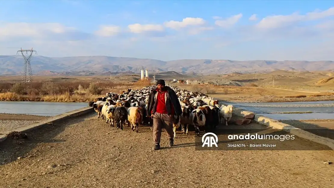 Iğdırlı göçerler Ağrı, Kars ve Ardahan Yaylalarından Dönüyor