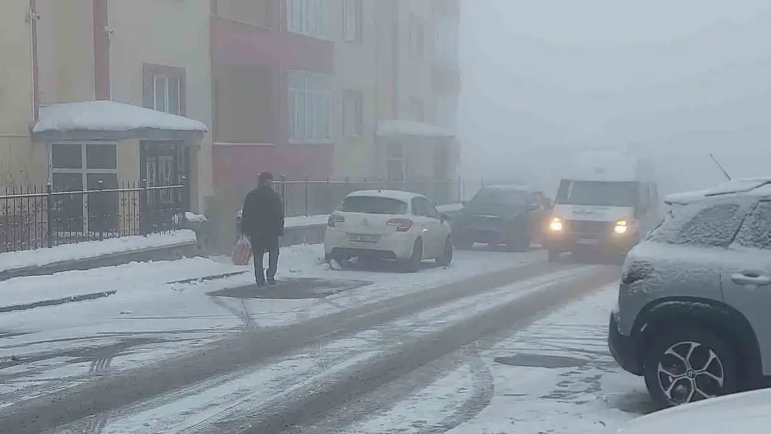 Erzurum'da kar ve sis etkili oldu