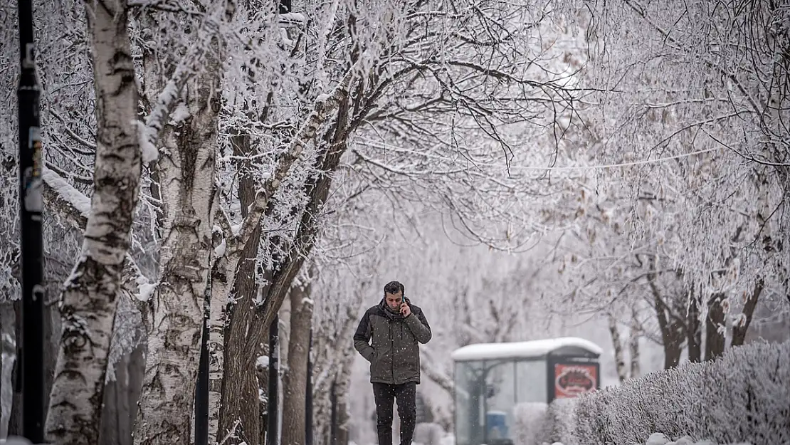 Erzurum Türkiye'nin en soğuk ili oldu: Termometreler -17'yi gösterdi