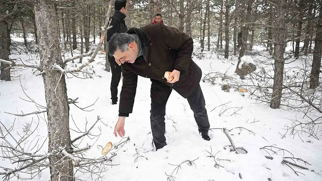 Erzurum Valisi Çiftçi, yaban hayvanları için yem bıraktı