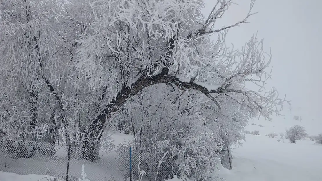 Erzurum'da soğuk hava hayatı zorlaştırıyor