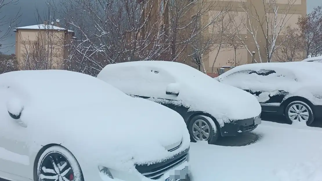 Ağrı'da Kar Yağışı Araçları Hapsetti