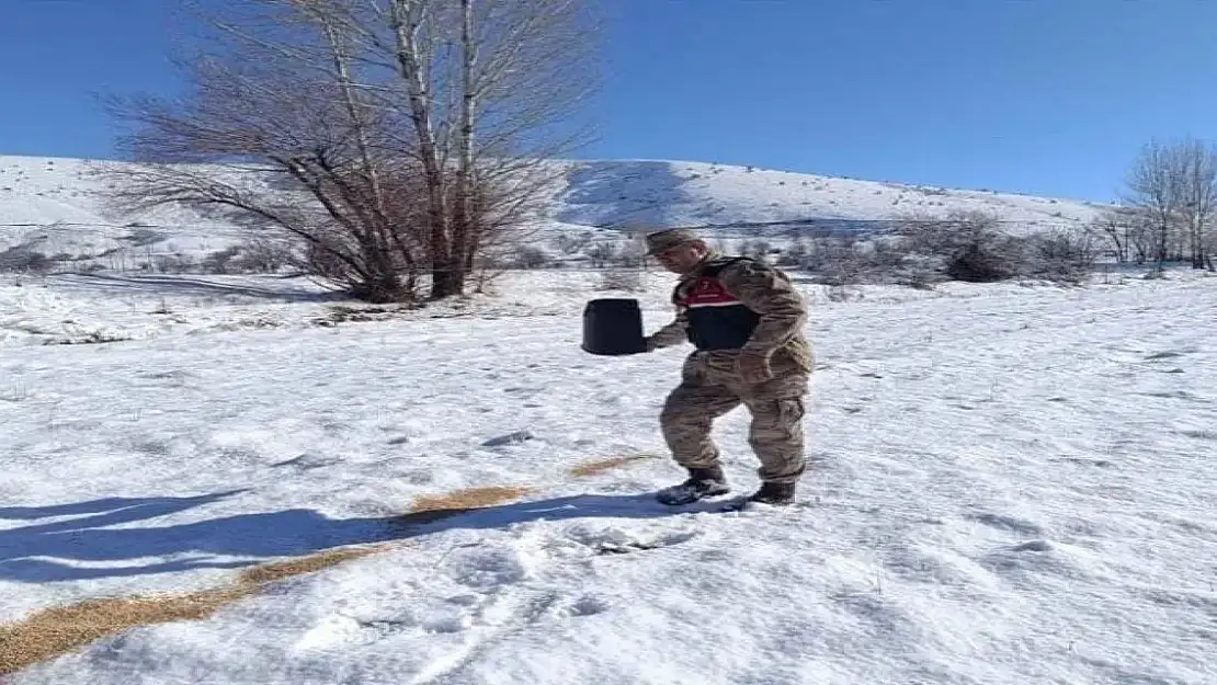 Bitlis Güroymak'ta Yaban Hayvanları İçin Doğaya Yem Bırakıldı