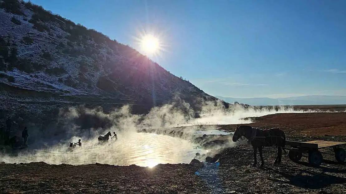 Bitlis'te eksi 15 derecede atların kaplıca keyfi